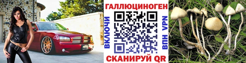 Галлюциногенные грибы мицелий  где купить   Жердевка 