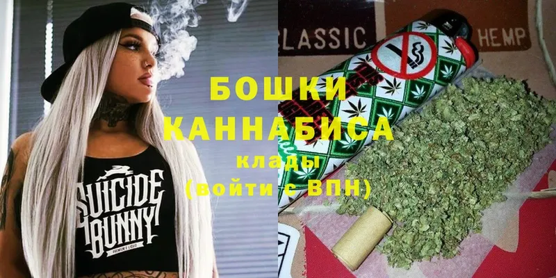 продажа наркотиков  Жердевка  Конопля OG Kush 